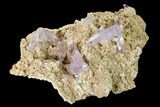 Gorgeous, Amethyst Crystal Cluster - Las Vigas, Mexico #165623-3